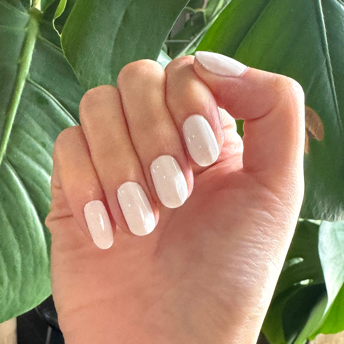 HD - Gel showing smooth, crisp white gel polish on natural nails for a fresh, long-lasting at-home manicure look