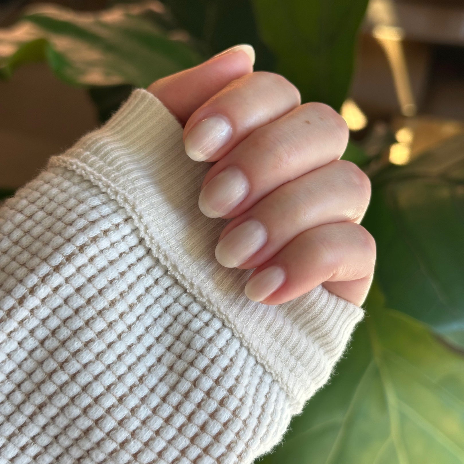 Atlas - Gel on natural nails with a smooth pearly white finish for an elegant mani by Olive and June